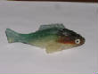 FCL/Bluegill1.JPG